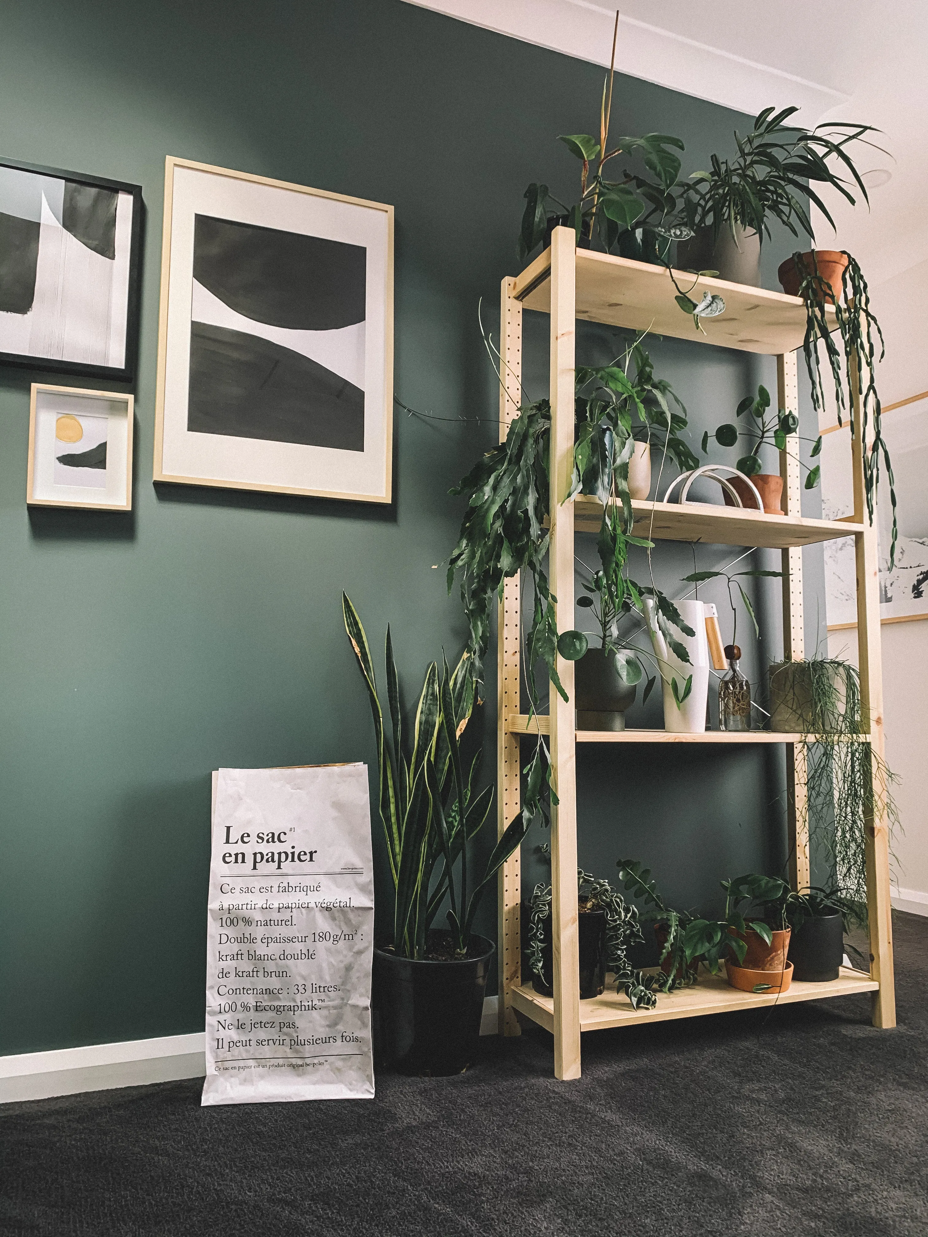 Jungle Look