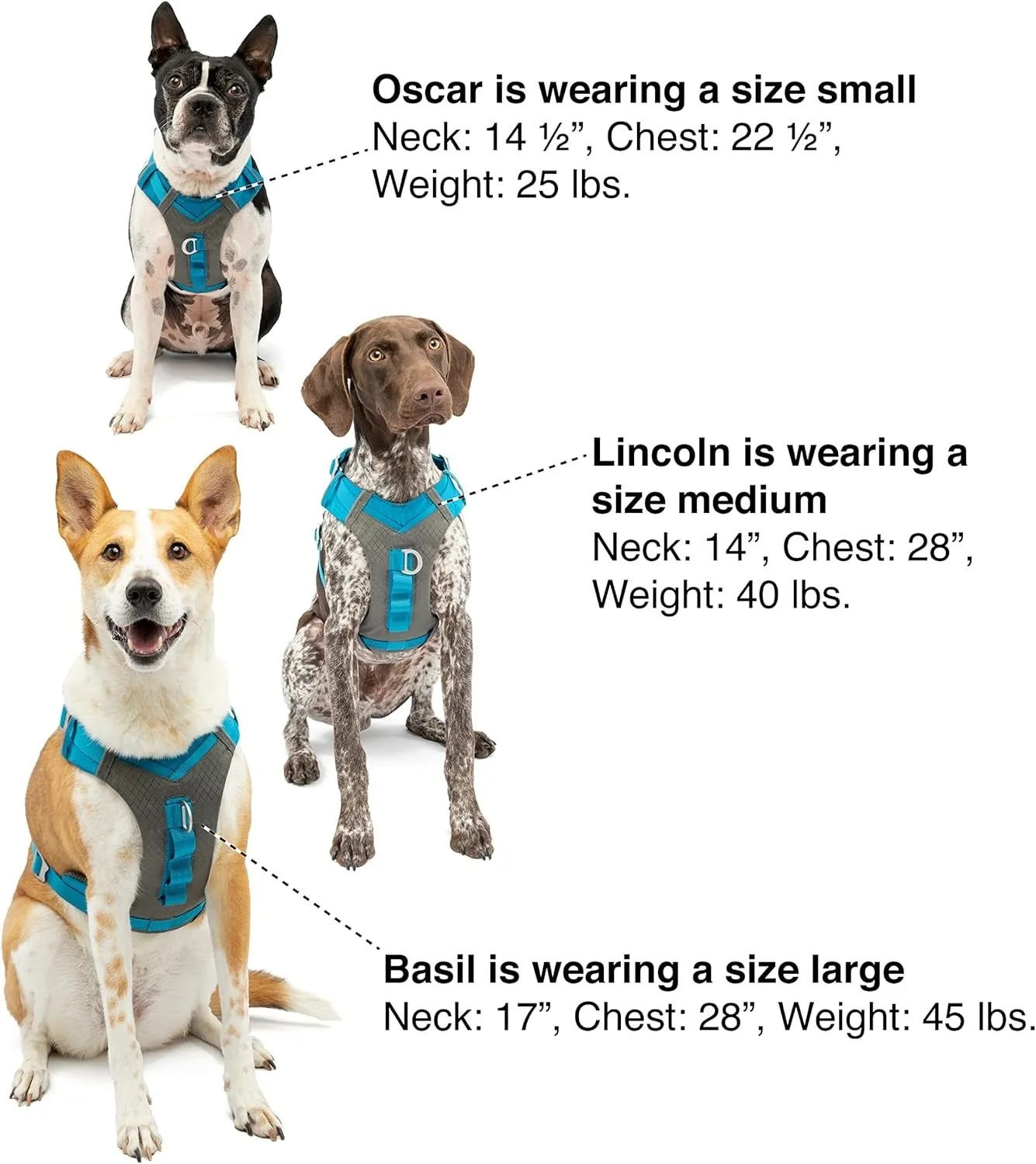 Kurgo Journey Air Dog Harness Blue Large