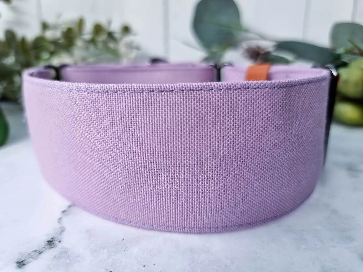 Lilac purple martingale collar - Water resistant
