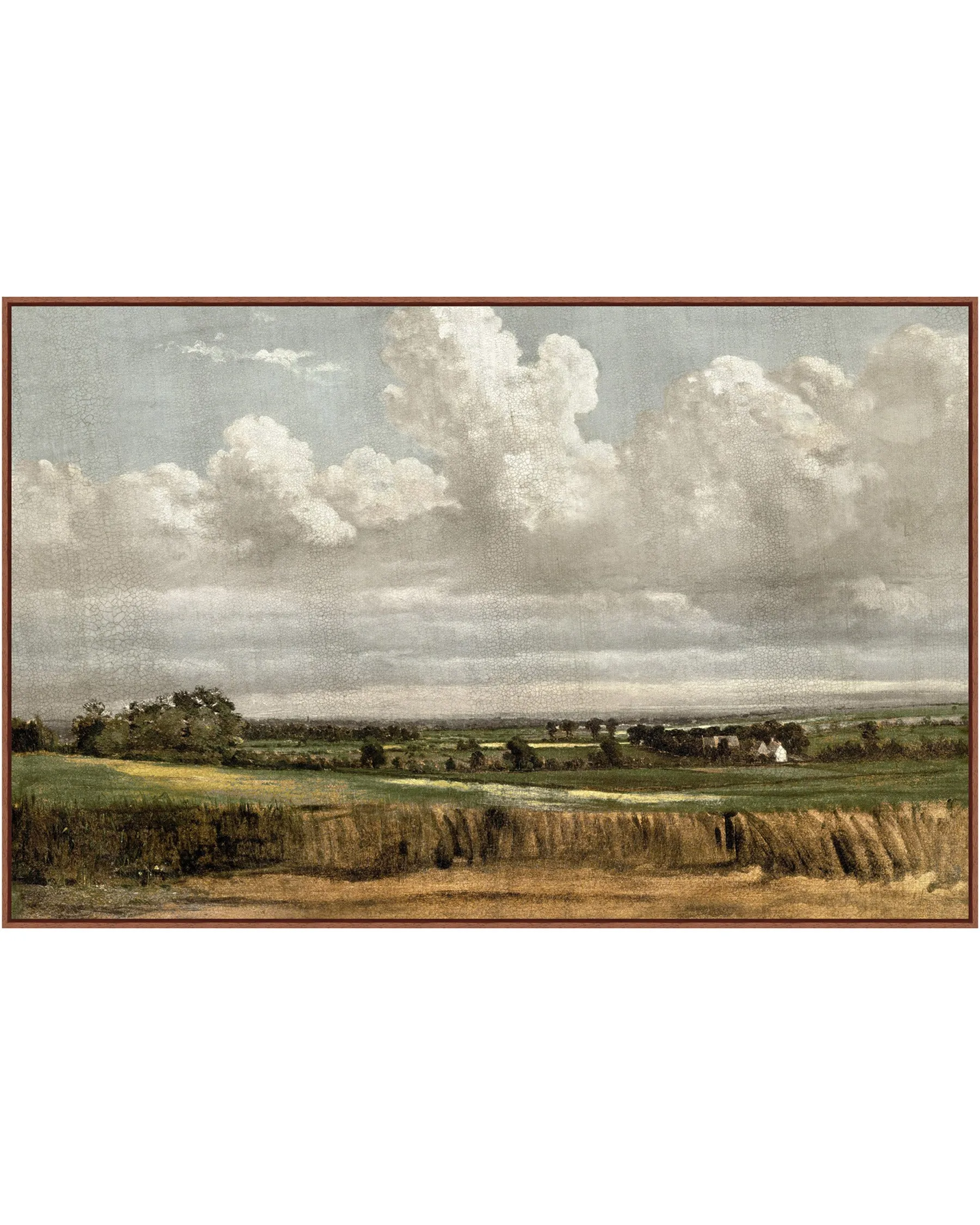 Midday Wheatfield