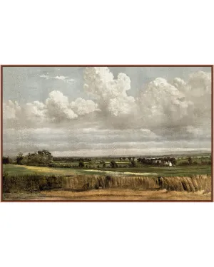 Midday Wheatfield