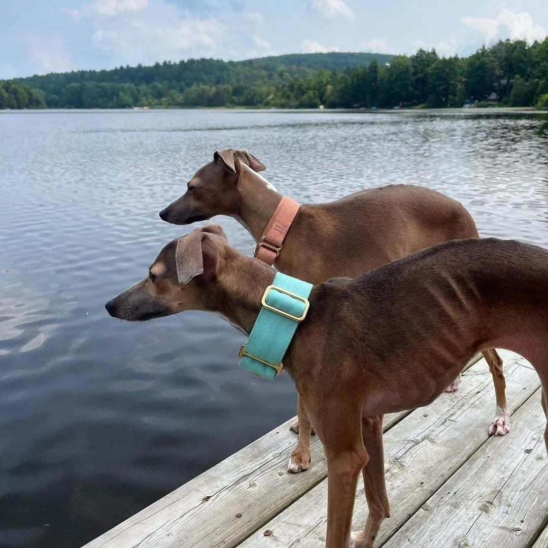 Mint Green martingale collar - Water resistant