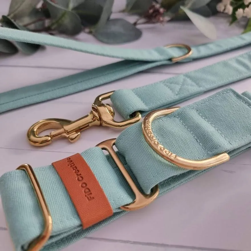 Mint Green martingale collar - Water resistant
