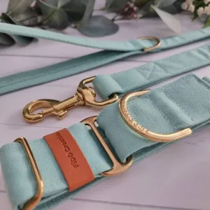 Mint Green martingale collar - Water resistant