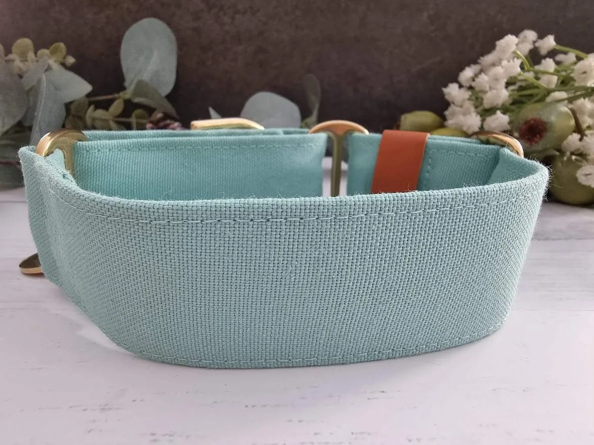 Mint Green martingale collar - Water resistant
