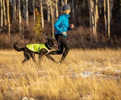RC Pets Luna Hi Vis Vest