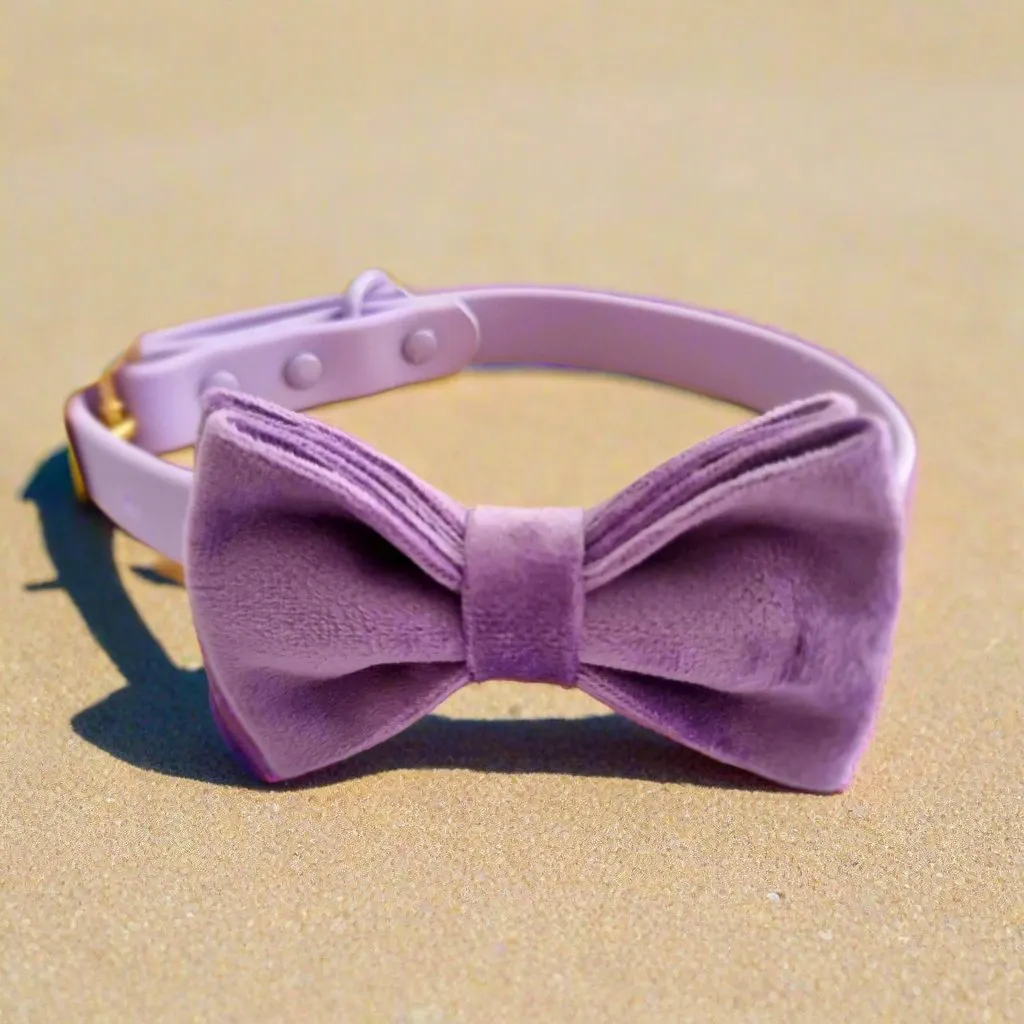 Waterproof lilac purple dog collar - PVC